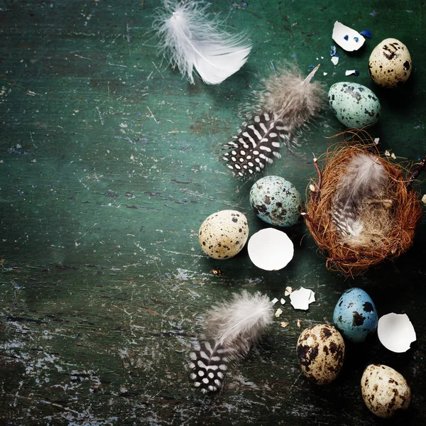 Pasen samenstelling met eieren en nest — Stockfoto