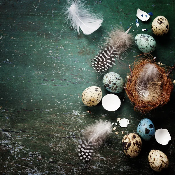 Easter composition with eggs and nest — Stock Photo, Image