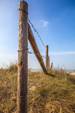 Hollandalı dunes koruyan çit hangi plaj ot (ya da marram çim kaplı).
