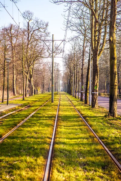 Straßenbahn überquert Solarpark in Haag. — Stockfoto