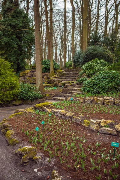 Keukenhof parque de flores na Holanda. Elementos de projeto do parque . — Fotografia de Stock