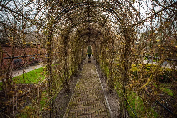 Keukenhof parque de flores en Holanda. Elementos del diseño del parque . —  Fotos de Stock