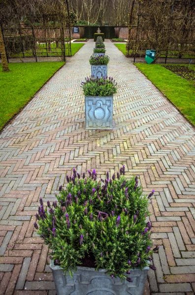 Keukenhof blomma park i Nederländerna. Delar av parken design. — Stockfoto