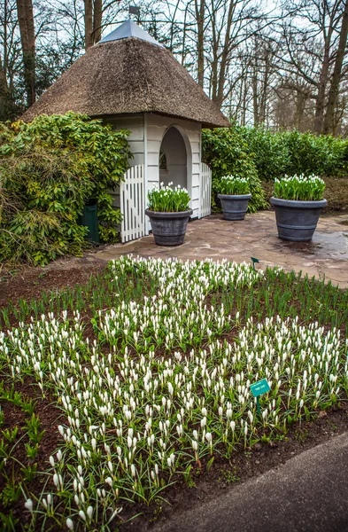 Парк Кекенхоф квітка в Нідерландах. Елементи дизайну парк. — стокове фото