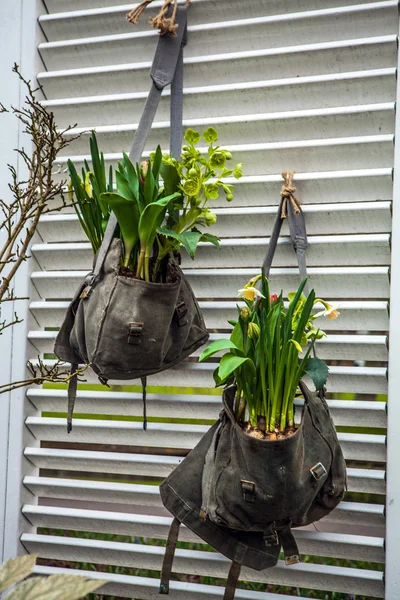 植物区系的装饰元素特写. — 图库照片