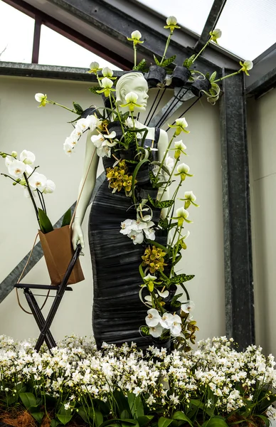Keukenhof Garden, Nederländerna - 24 mars: Blomma växthus, floristiska inredning element närbild. Keukenhof är världens största blomsterträdgård. Keukenhof Garden, Lisse, Nederländerna - den 24 mars, 2016. — Stockfoto