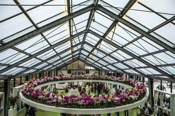 Κήπος Keukenhof, Ολλανδία - 24 Μαρτίου: Λουλούδι θερμοκήπιο, γκρο πλαν στοιχεία χλωριδικά διακόσμηση. Πλατεία των μουσείων είναι μεγαλύτερο λουλούδι στον κήπο του κόσμου. Κήπος Keukenhof, Lisse, Ολλανδία - 24 Μαρτίου 2016. — Φωτογραφία Αρχείου