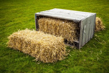 Keukenhof çiçek park Hollanda. Park tasarım unsurları.