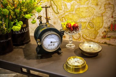 Keukenhof Bahçe, Hollanda - 24 Mart: Çiçek sera, bitki dekor öğeleri yakın çekim. Keukenhof dünyanın en büyük çiçek bahçesi var. Keukenhof Bahçe, Lisse, Hollanda - 24 Şubat 2016.