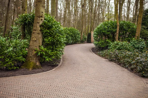 Keukenhof parque de flores na Holanda. Elementos de projeto do parque . — Fotografia de Stock