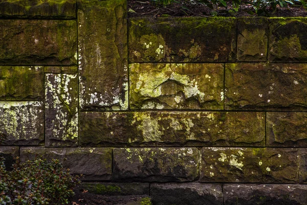 Старий гранжевий цегляний фон стіни . — стокове фото
