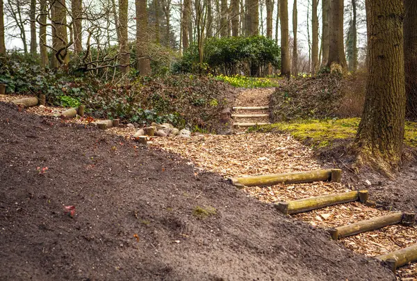 Keukenhof parque de flores na Holanda. Elementos de projeto do parque . — Fotografia de Stock