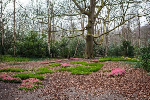 Keukenhof çiçek park Hollanda. Park tasarım unsurları. — Stok fotoğraf