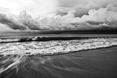İnanılmaz tropikal bir manzara. Endonezya - Bali. Siyah-beyaz fotoğraf.