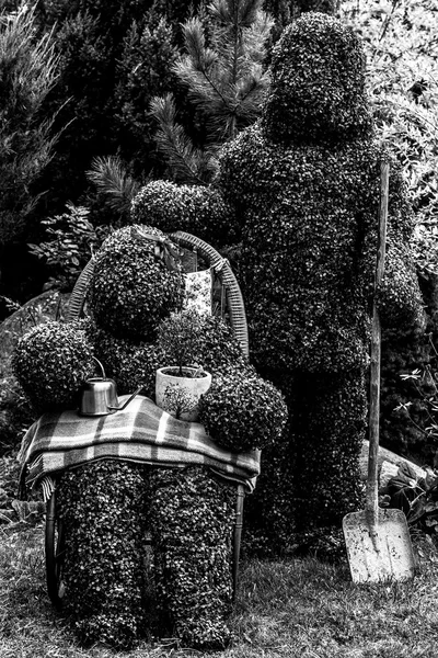 Family of live bushes. Outdoor fairy tale style black-white fine art photo. — Stock Photo, Image