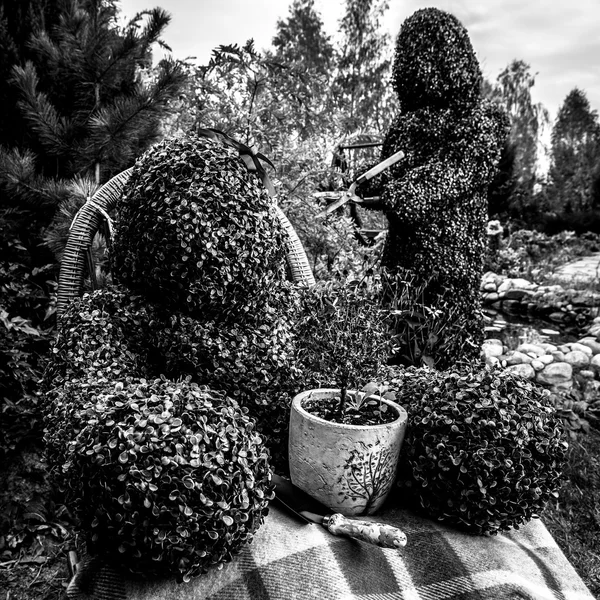 Familia de arbustos vivos. Estilo de cuento de hadas al aire libre foto de arte blanco y negro . —  Fotos de Stock