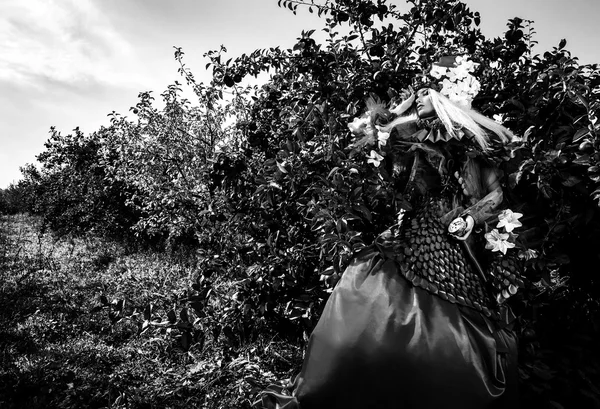 Imagem dramatizada de menina sensual simbolizando a natureza. Preto-branco arte moda ao ar livre foto . — Fotografia de Stock