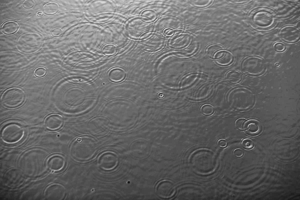 Rain drops falling on clear water. Black-white background photo. — Stock Photo, Image