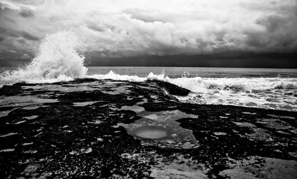 Increíble paisaje tropical. Indonesia - Bali. Foto en blanco y negro . — Foto de Stock