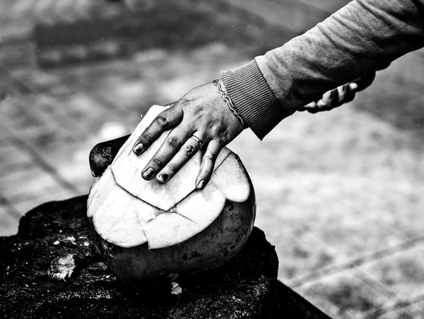 Eine weibliche Hand mit einer Machete spaltet eine Kokosnuss mit Nektar im Inneren. Nahaufnahme Schwarz-Weiß-Foto. — Stockfoto