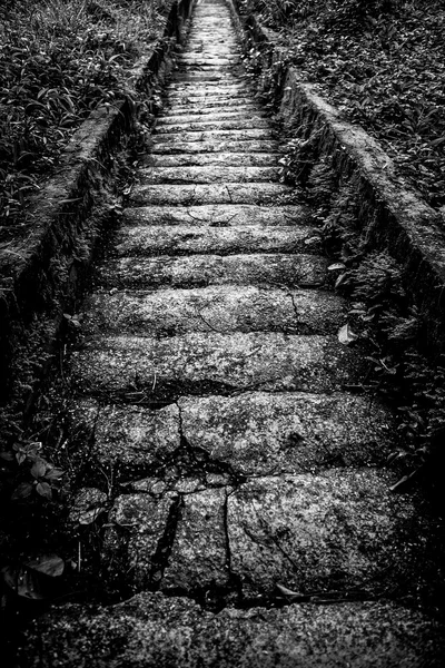 오래 된 돌 단계 아래로입니다. 흑백 사진. — 스톡 사진