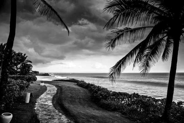 Incroyable paysage tropical. Indonésie - Bali. Photo noir-blanc . — Photo