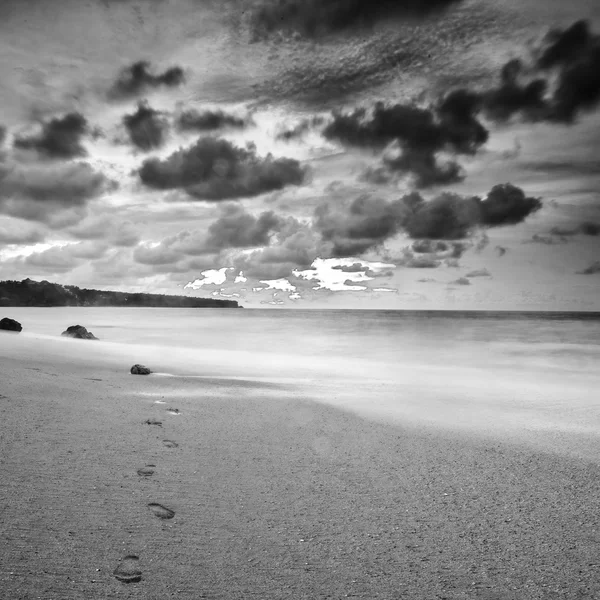 Increíble paisaje tropical. Indonesia - Bali. Foto en blanco y negro . —  Fotos de Stock