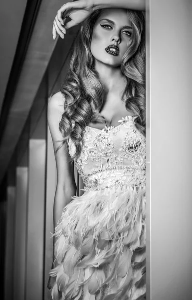 Young sensual & beauty woman in fashionable dress pose indoor. Black-white fashion portrait. — Stock Photo, Image