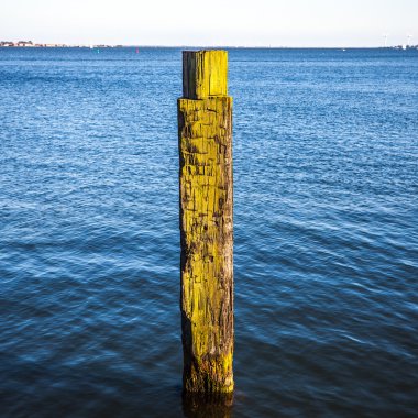 Su eski Polonyalılar.