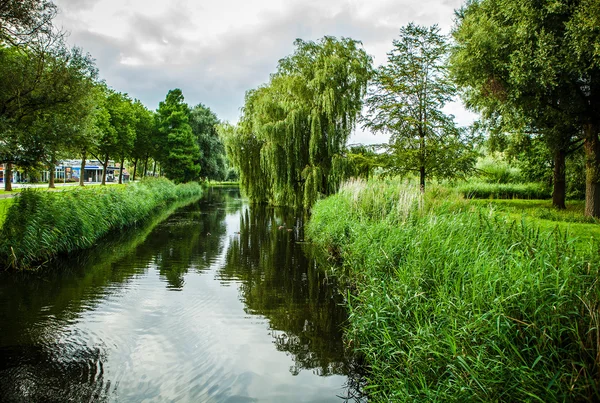 Prachtige Nederlandse stad park elementen close-up. — Stockfoto