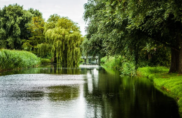 Beautiful Dutch city park elements close-up. — Stock Photo, Image