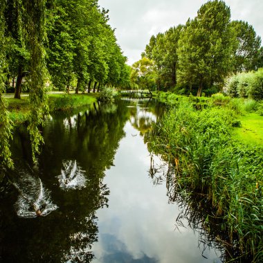 Güzel Hollandalı Şehir Parkı öğeleri yakın çekim.