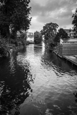 Güzel geleneksel Hollanda manzara ve doğa.
