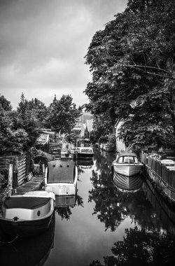 Güzel geleneksel Hollanda manzara ve doğa.