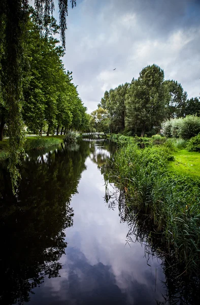 Beautiful Dutch city park elements close-up. — Stock Photo, Image