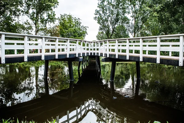 Rare Dutch bridge in park. — Stock Photo, Image