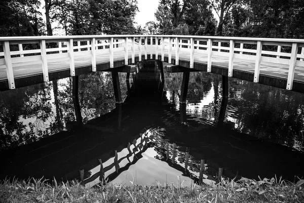 公園で珍しいオランダ橋. — ストック写真