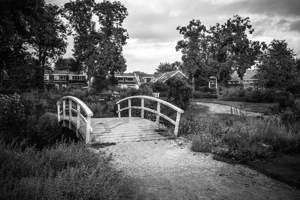 Bellissimi elementi del parco cittadino olandese primo piano . — Foto Stock