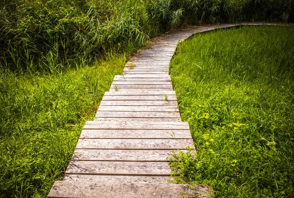 Bellissimi elementi del parco cittadino olandese primo piano . — Foto Stock