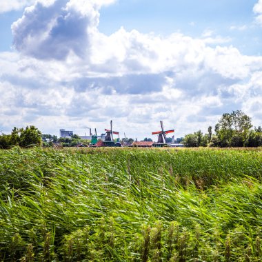 Dramatik bulutlu gökyüzü ile Hollanda yel değirmenleri