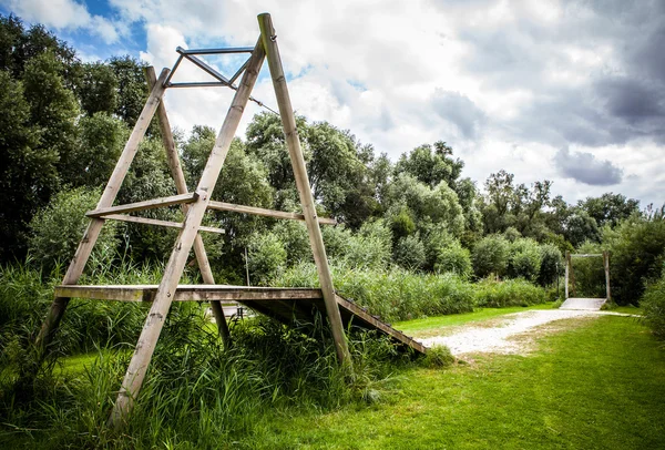 Allenatore disponibile per attività sportive nel parco olandese . — Foto Stock