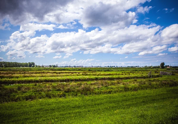 美しい伝統的なオランダの風景と自然. — ストック写真