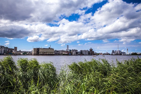 Beautiful traditional Dutch landscape and nature. — Stock Photo, Image