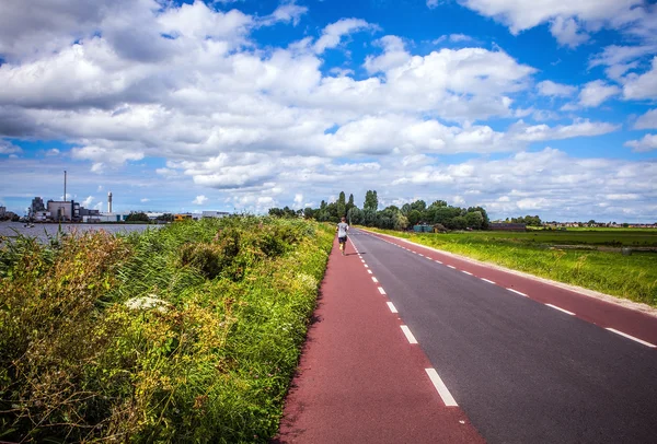 Gyönyörű, hagyományos holland táj és a természet. — Stock Fotó