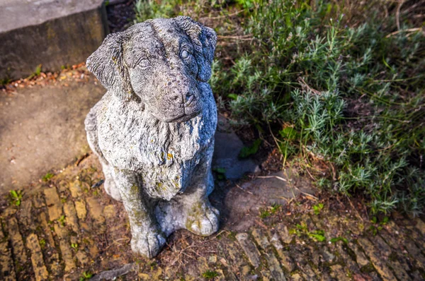 Marble Sitting Dog Statue in garden. — Stock Photo, Image