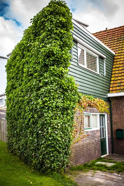 Zaandam, Nizozemsko - 14. srpna 2016: Tradiční holandské domy detail. Obecné krajiny pohled budovatelské a tradiční holandské architektury. Zaandam - Nizozemsko. — Stock fotografie