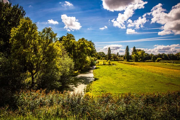 Hermoso paisaje y naturaleza holandesa tradicional . — Foto de Stock