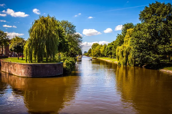 Mooie traditionele Nederlandse landschap en natuur. — Stockfoto