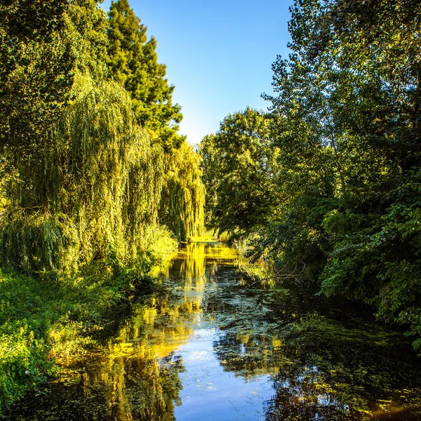 Hermoso paisaje y naturaleza holandesa tradicional . — Foto de Stock