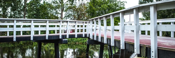 Голландский мост в парке. Панорама . — стоковое фото